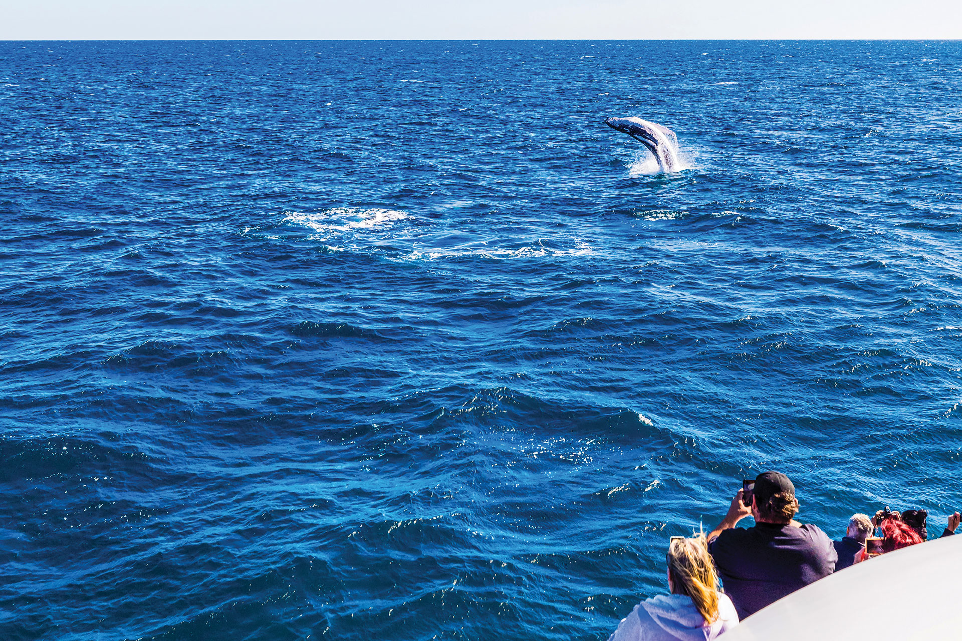 People on a boat watching a whale breaching in the ocean under a clear sky.