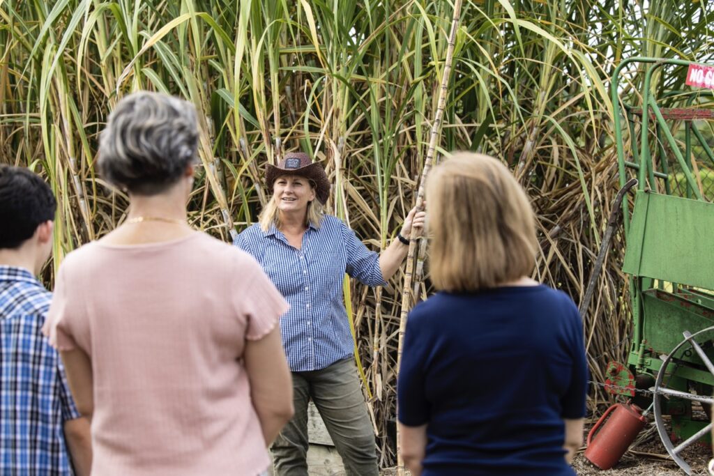 A woman in a checkered shirt and cowboy hat stands in front of sugarcane plants, speaking to a small group of people.