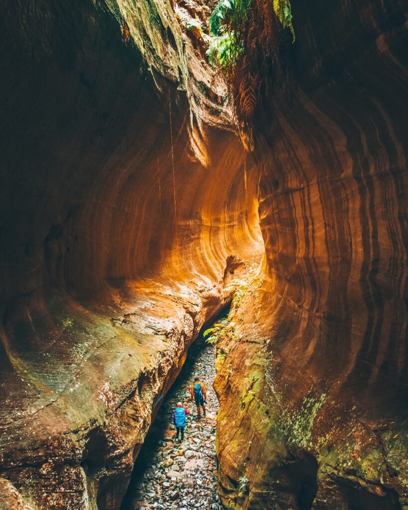 Three people hike through a narrow, rocky canyon with tall, curved walls and overhead plants. The scene is lit by natural light from above.