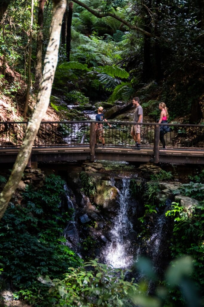 Three people stand on a wooden bridge over a small waterfall surrounded by dense greenery in a forest.