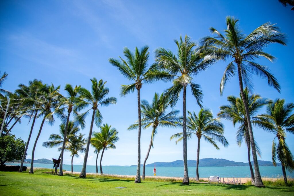 Tropical beach scene with palm trees, green grass, and a view of the ocean and distant mountains under a clear blue sky.