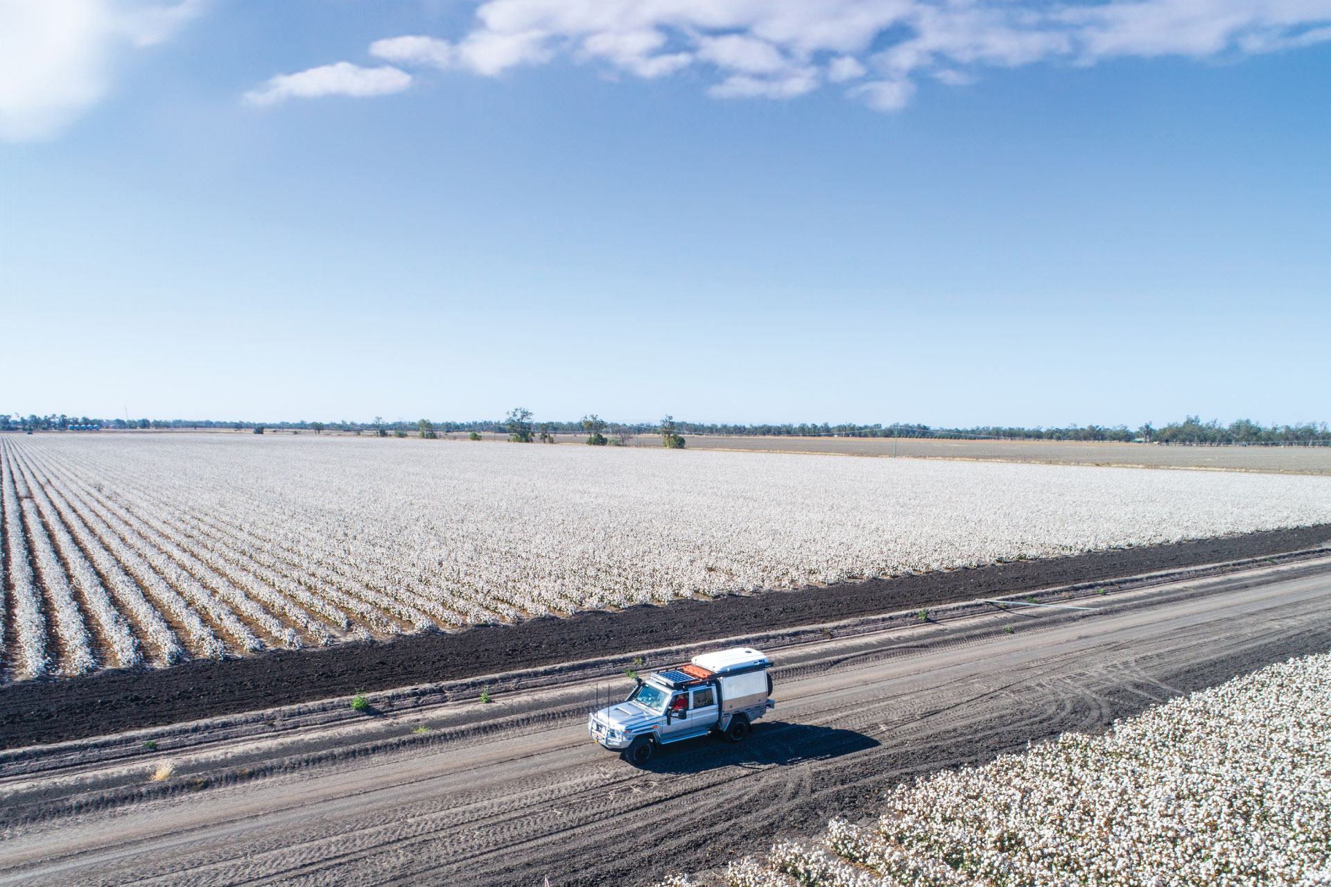 A utility vehicle drives along a dirt road next to a large, cultivated field under a clear sky.