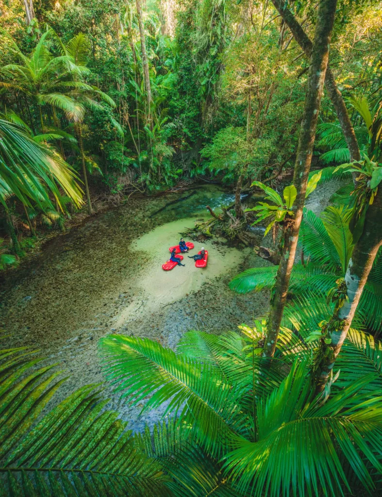 Two people in red kayaks float on a clear, shallow stream surrounded by lush green forest.