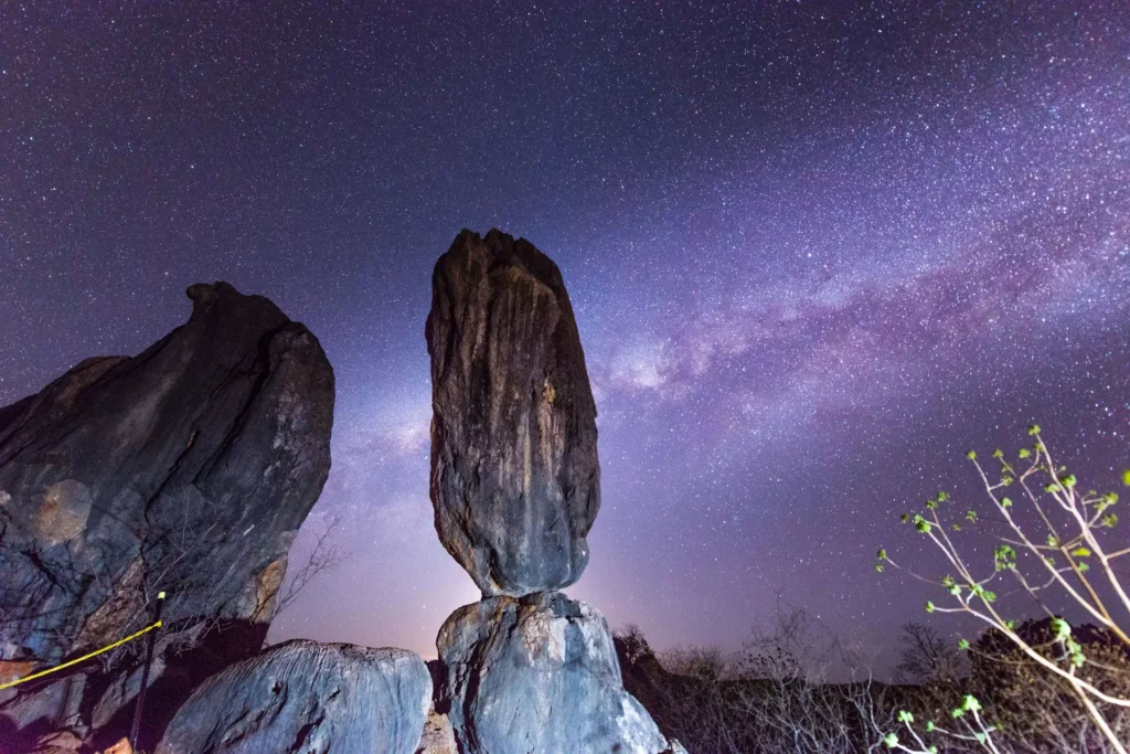 A large rock stands upright against a star-filled night sky with the Milky Way visible in the background. Sparse vegetation is seen in the foreground.