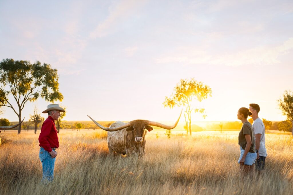 Three people stand in a field with a longhorn cow at sunset, two on the right in casual wear, one on the left in a red shirt and cowboy hat. Trees and wide sky background.