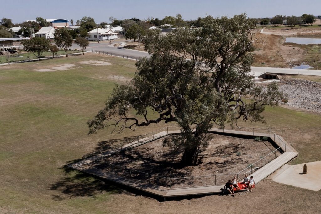 A large tree stands in the middle of a fenced circular platform in a park. Three people are sitting on a red bench at the base of the tree. Buildings can be seen in the background.