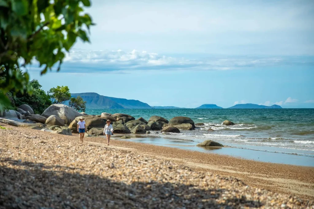 Two people walking along a rocky beach with the ocean on the right, distant mountains in the background, and a tree in the foreground.