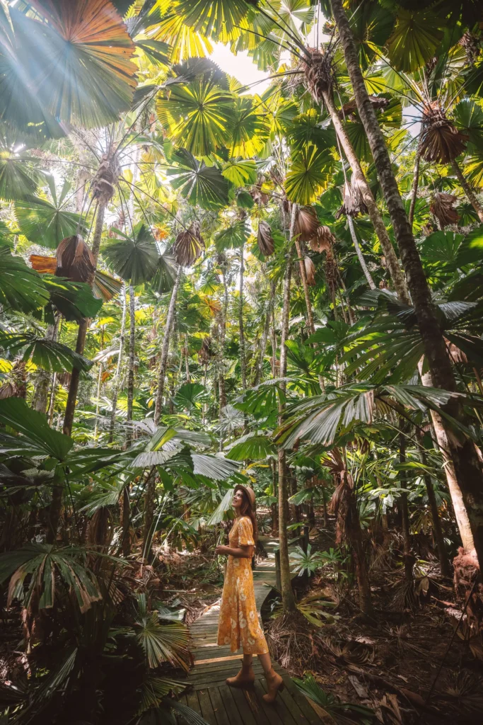 A person in a yellow dress stands on a wooden path surrounded by tall palm trees in a lush tropical forest.