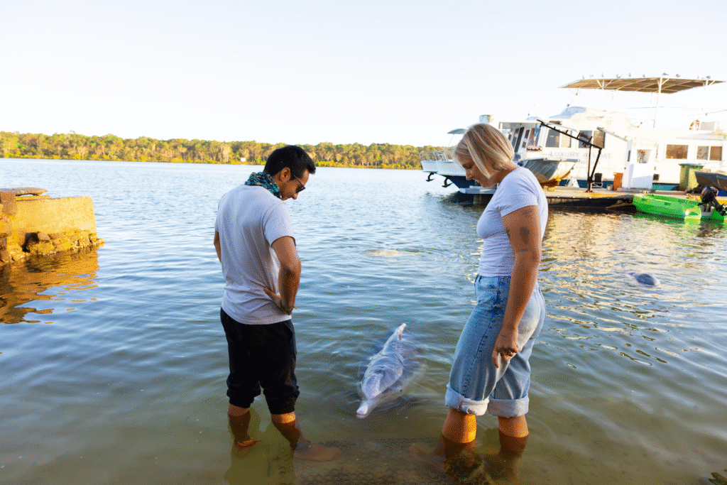 Two people stand in shallow water near a dock, looking at a dolphin swimming close to them. A boat and trees are visible in the background.