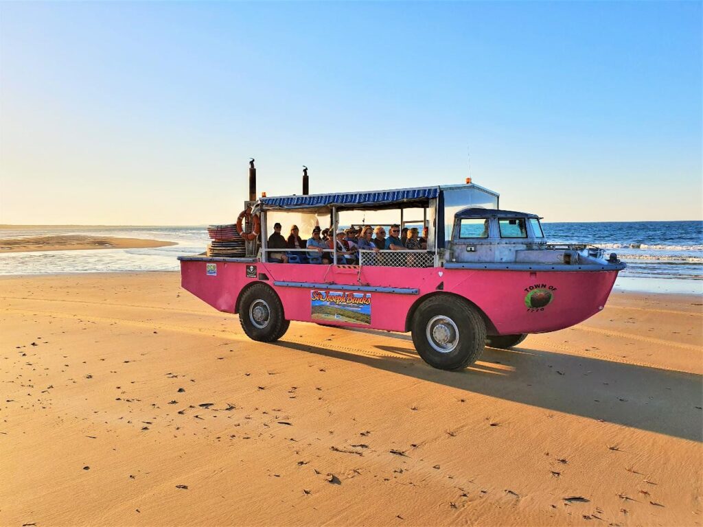 A pink amphibious tour vehicle with passengers drives on a sandy beach near the ocean under a clear sky.