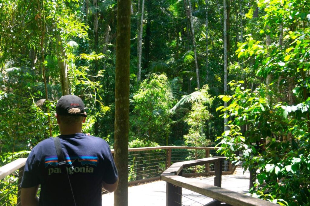 A person wearing a Patagonia shirt stands on a wooden walkway surrounded by dense, green forest vegetation.