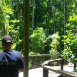 A person wearing a Patagonia shirt stands on a wooden walkway surrounded by dense, green forest vegetation.