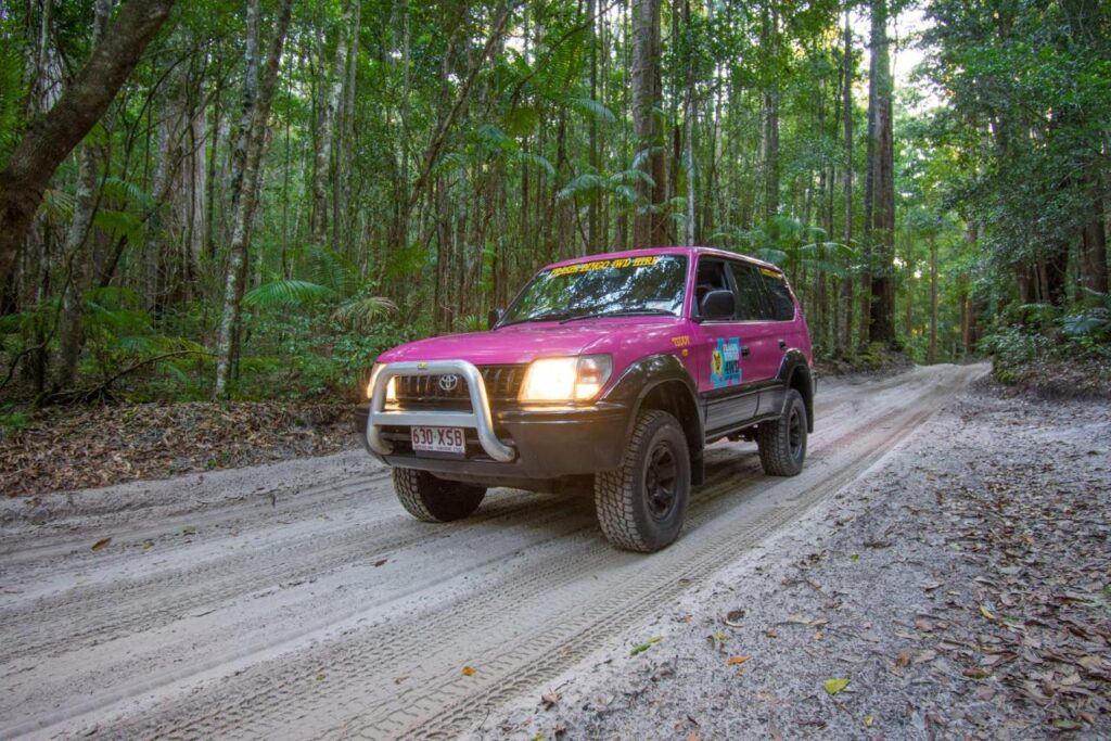 A pink SUV with roof racks drives on a sandy, forested off-road trail surrounded by tall trees and dense greenery.