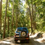 A blue SUV with a spare tire drives on a dirt road through a dense, sunlit forest with tall trees and green foliage.