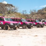 A row of bright pink 4WD vehicles is parked on a sandy beach, with dry vegetation and clear blue sky in the background.