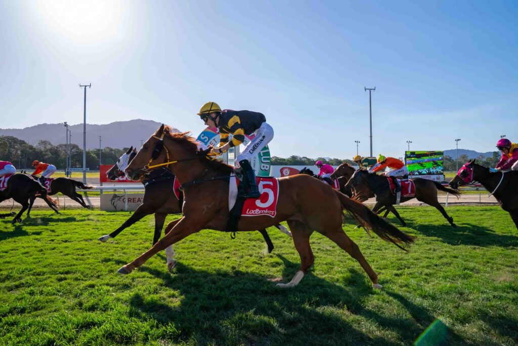 Jockey riding horse number 5 leads a group of racehorses on a grassy racetrack during a daytime horse race.