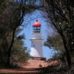 A white lighthouse with a red dome is framed by trees, standing on a sandy path under a clear blue sky.