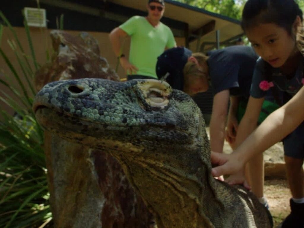 A Komodo dragon sits calmly as two children pet it, with an adult standing in the background outdoors.