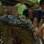 A Komodo dragon sits calmly as two children pet it, with an adult standing in the background outdoors.
