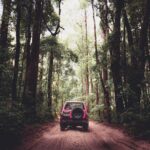 A red SUV drives on a dirt road through a dense forest with tall trees and lush green foliage.
