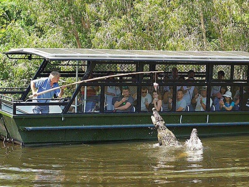 A tour guide on a boat uses a stick to interact with a jumping crocodile in the water, while passengers watch from behind protective bars.