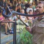 A man holding a large snake with a snake hook stands in front of an audience seated on bleachers.