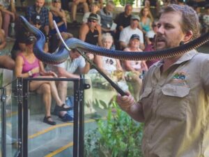 A man holding a large snake with a snake hook stands in front of an audience seated on bleachers.