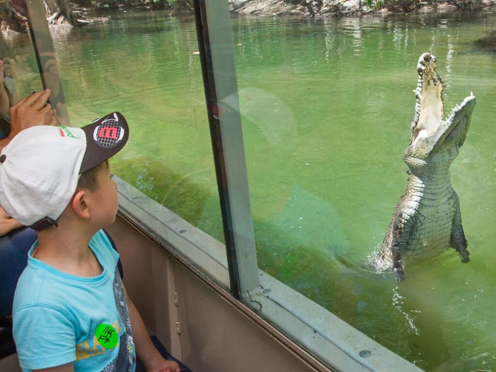A child inside a glass-walled bus looks at a crocodile in the water with its mouth open wide near the glass.