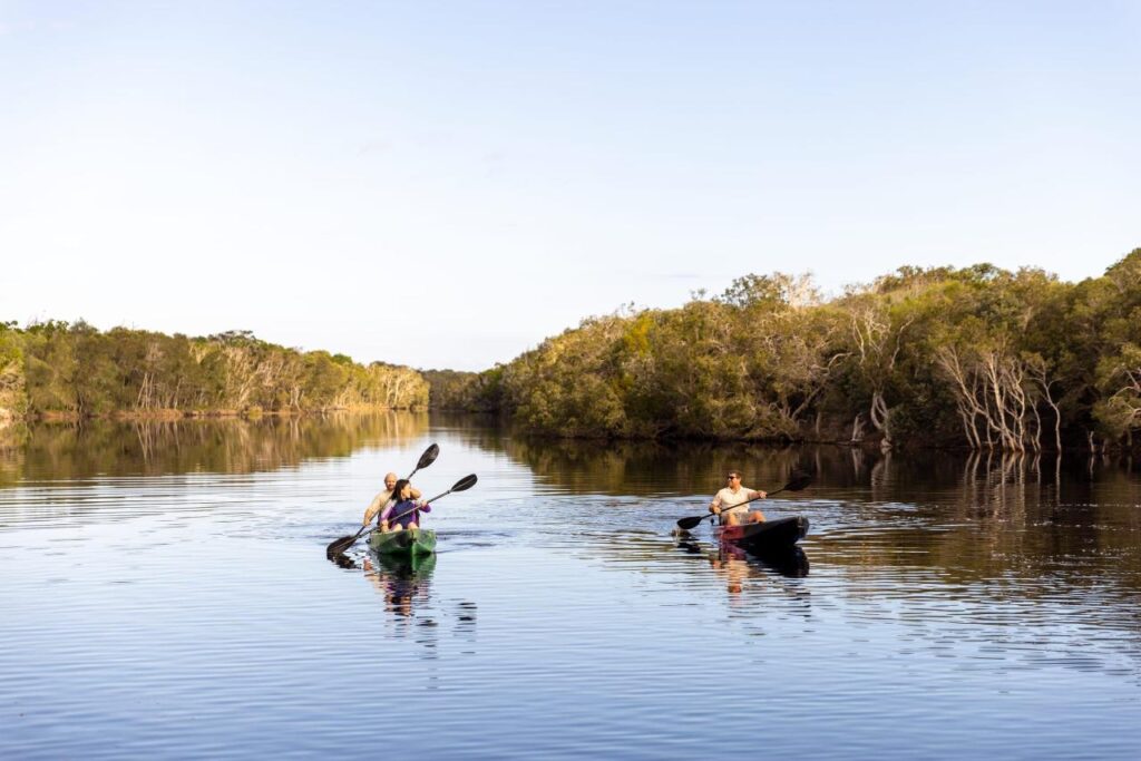 Two people kayak on a calm river surrounded by trees under a clear sky.