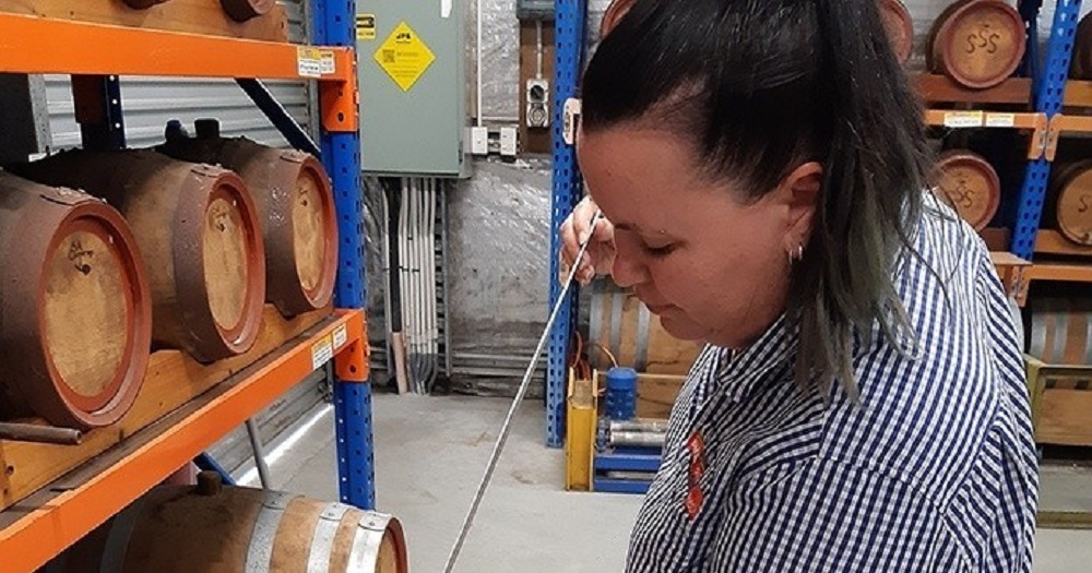 A person draws liquid from a wooden barrel using a thief in a storage area lined with barrels on shelves.