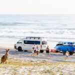 A kangaroo sits on a sandy beach in front of a group of people near a white van and jet skis by the ocean.
