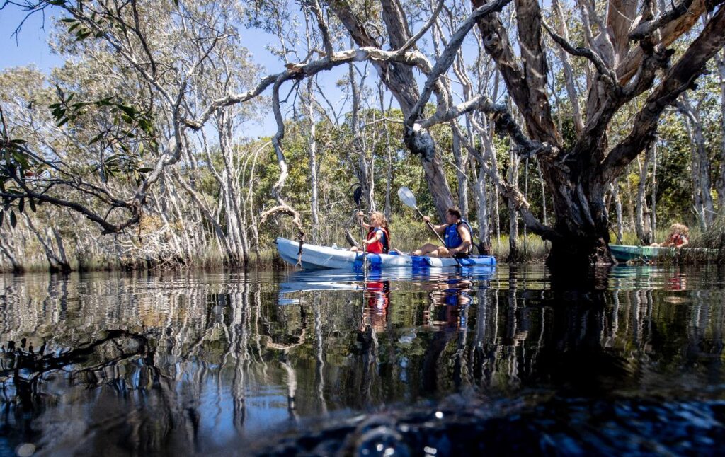 Two people in a blue and white kayak paddle through calm water surrounded by tall trees, with another kayaker in the background.