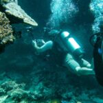 Two scuba divers swim near a coral reef underwater, with diving tanks and gear visible amidst bubbles and marine life.