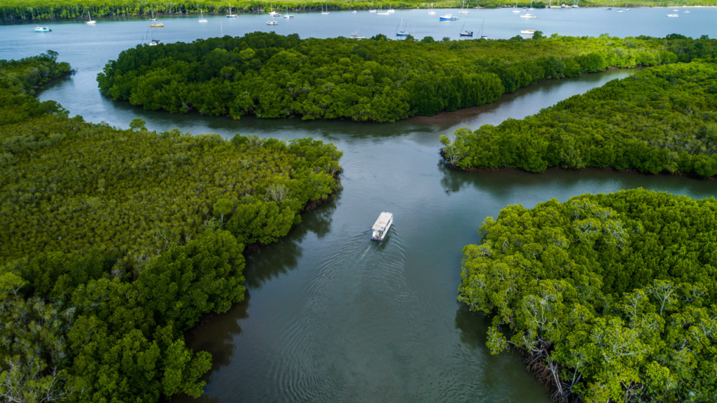 Aerial view of a boat traveling through narrow waterways surrounded by dense green mangroves, with anchored boats visible in the background.
