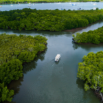 Aerial view of a boat traveling through narrow waterways surrounded by dense green mangroves, with anchored boats visible in the background.