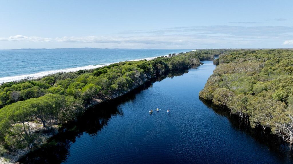 Aerial view of a calm, dark blue river bordered by dense green forest, with several kayakers paddling in the water near the coastline.