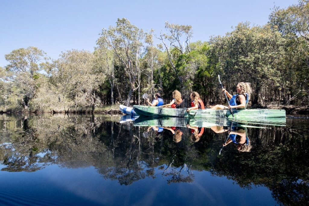 Four people in kayaks paddle on a calm river surrounded by trees, with clear blue sky and reflections visible in the water.