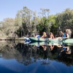 Four people in kayaks paddle on a calm river surrounded by trees, with clear blue sky and reflections visible in the water.