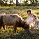 Two young girls in dresses pet a brown, long-haired calf eating hay in a grassy field during daylight.
