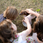 Three children sitting on grass pet a small piglet that is standing in a white bowl.