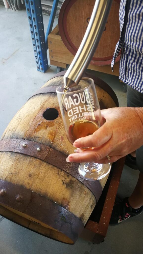 A person fills a glass with amber liquid from a metal spout attached to a wooden barrel.