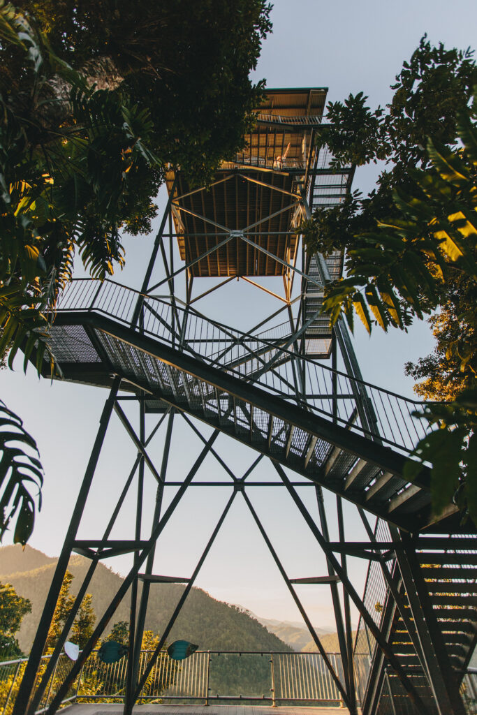 A tall metal observation tower with stairs, surrounded by trees, stands against a clear sky with mountains visible in the background.