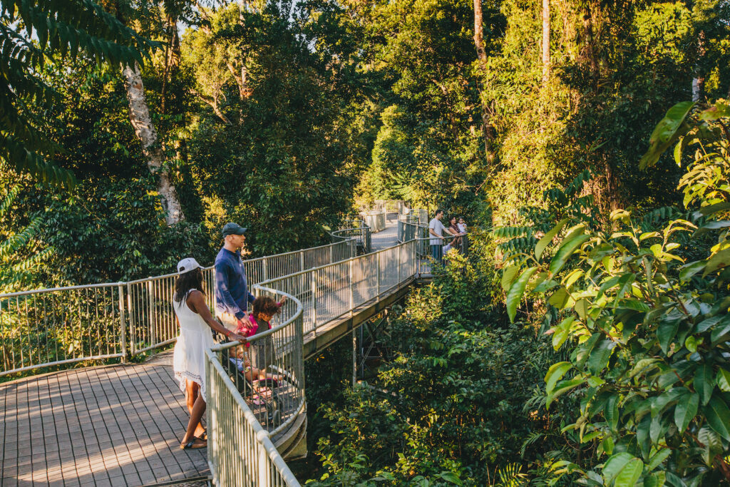 People stand on an elevated walkway surrounded by dense green forest, observing the scenery in daylight.