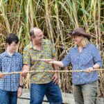Three people stand in front of tall sugarcane plants, holding a sugarcane stalk together and smiling as they examine it.