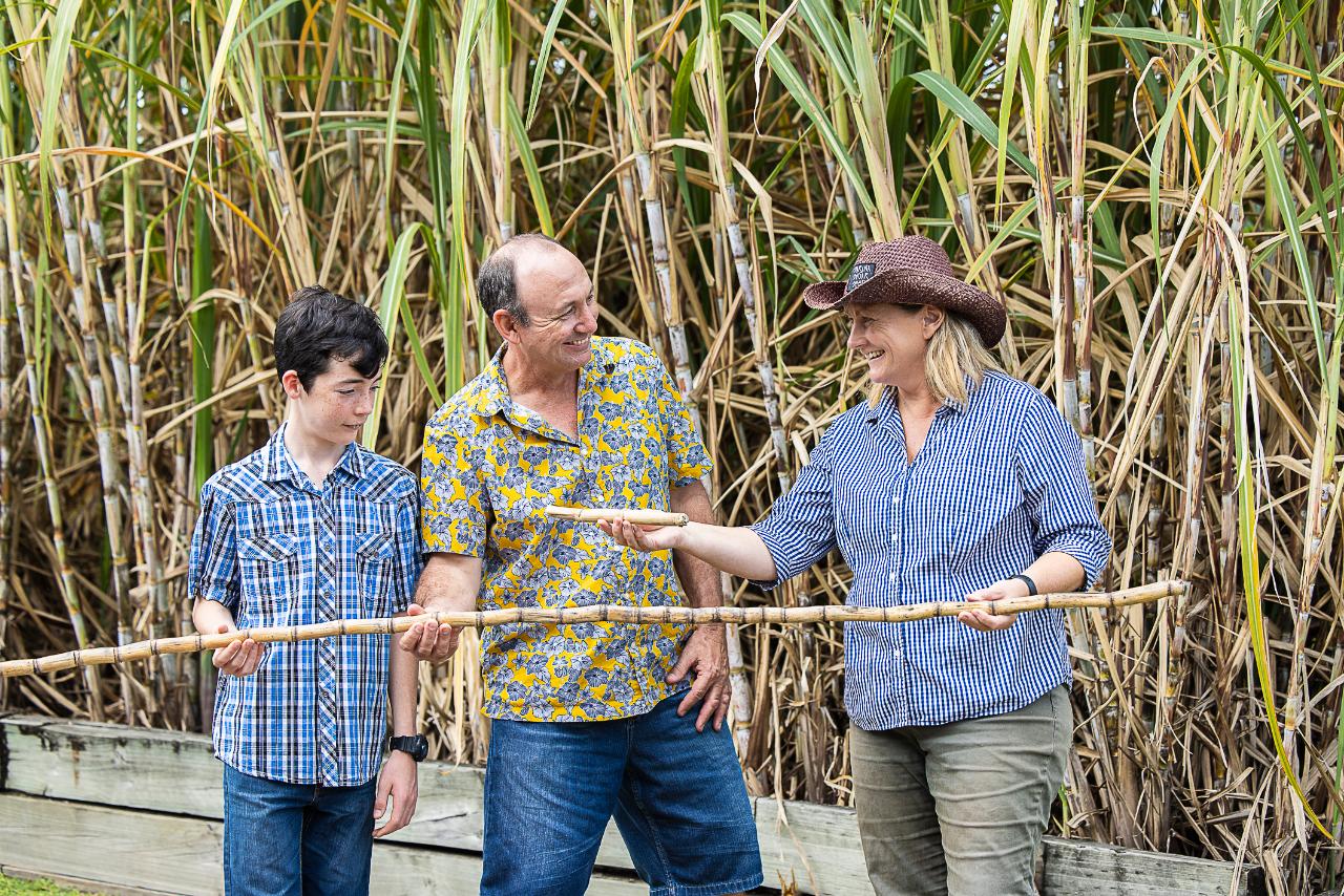 Three people stand in front of tall sugarcane plants, holding a sugarcane stalk together and smiling as they examine it.