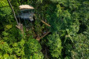 Aerial view of a raised structure connected by walkways in a dense green forest, with people walking on the wooden paths.