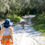 Two people walk on a sandy path toward a kangaroo standing ahead, surrounded by green bushes and trees.
