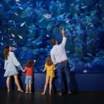 A family of four stands in front of a large aquarium tank, watching colorful fish and marine life swim behind the glass.