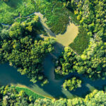 Aerial view of a winding river flowing through dense green forest and marshland, with sunlight casting shadows over the landscape.