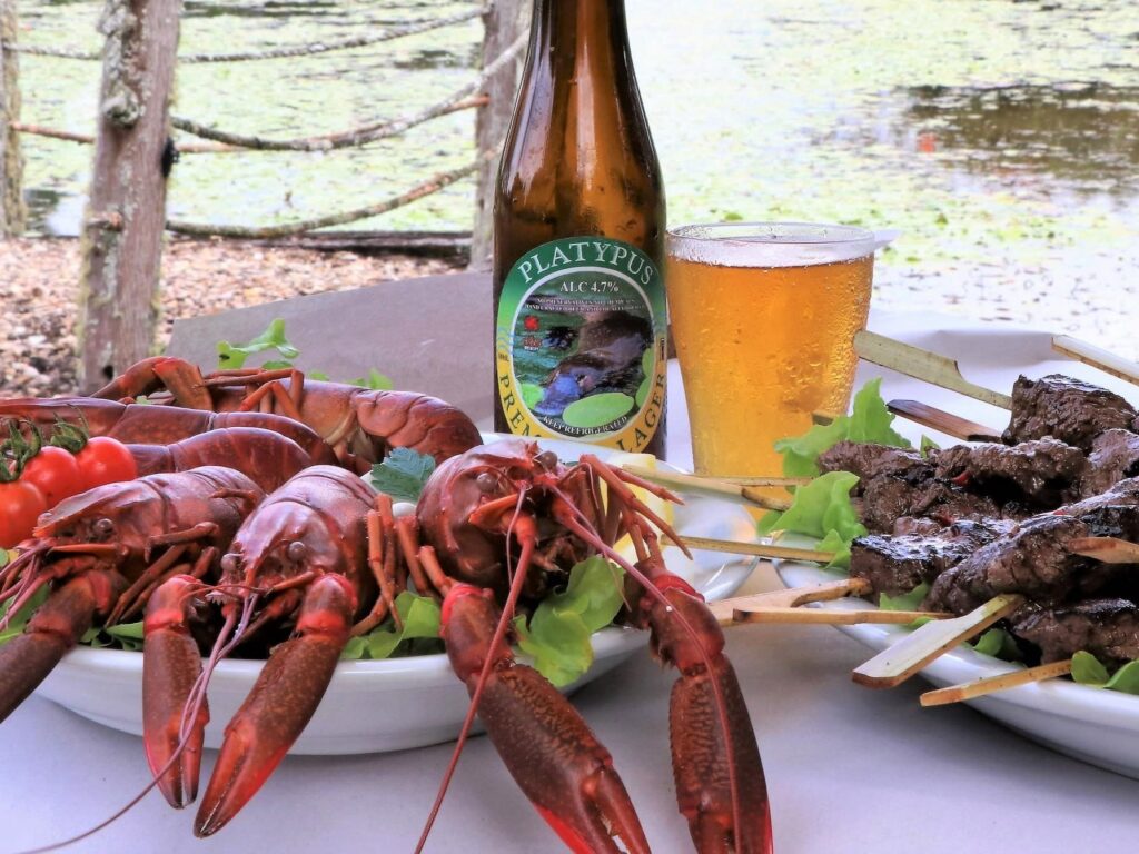Plates of cooked crayfish and grilled meat skewers are displayed next to a bottle and glass of beer on an outdoor table by the water.
